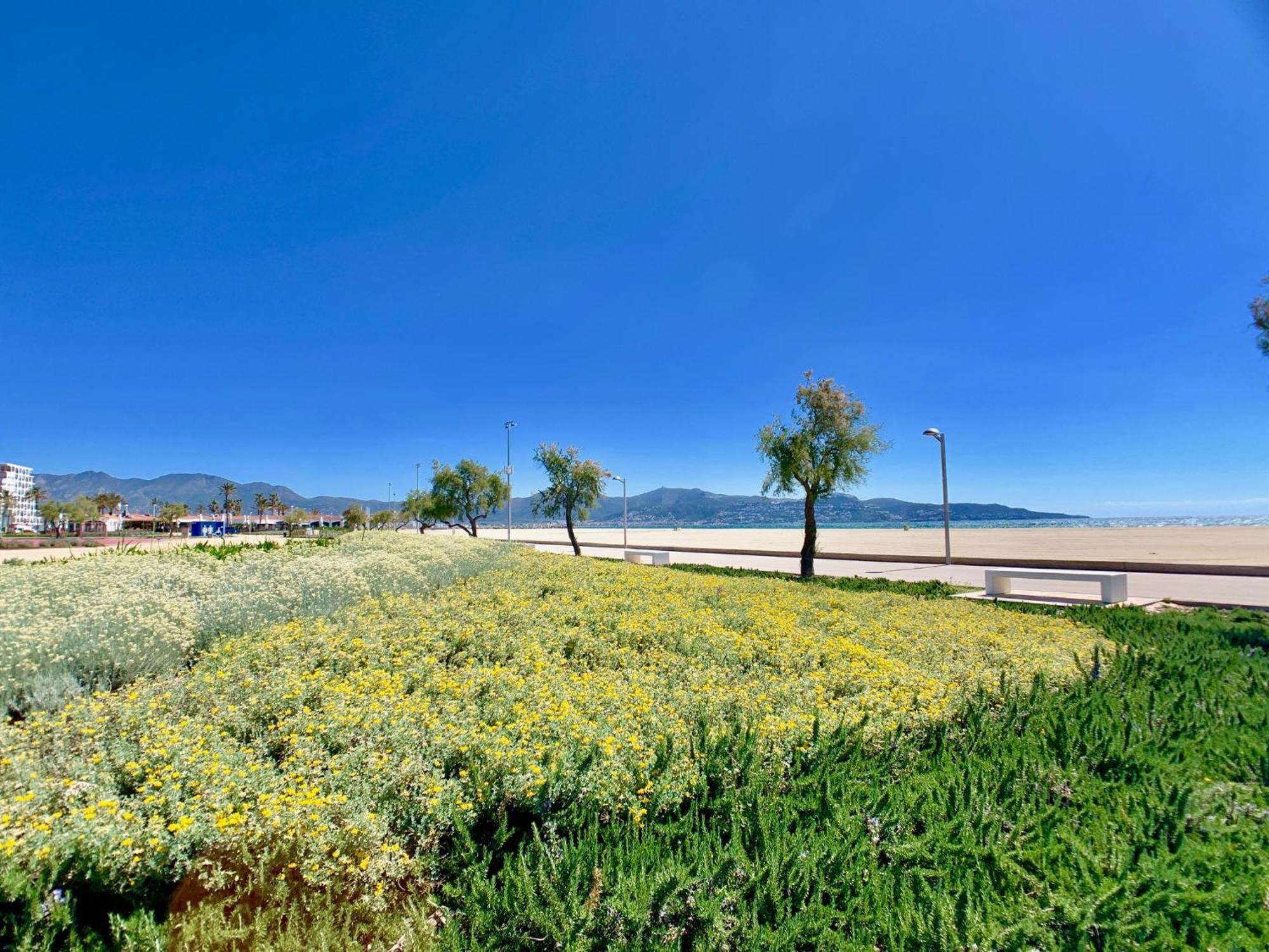 Apartment Vista Bahia 23 -4 Sea View אמפוריבראבה מראה חיצוני תמונה
